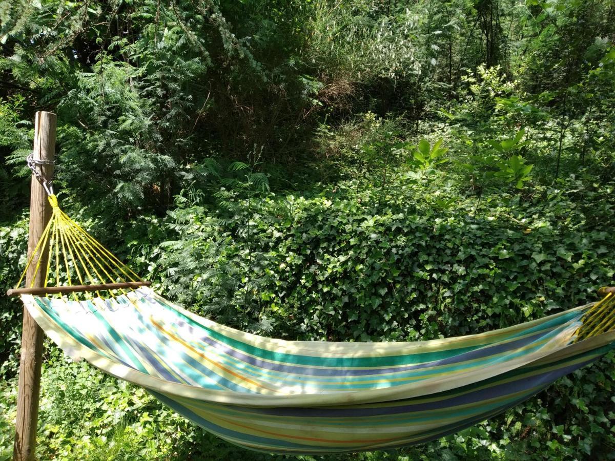 Pura Vida Bed and Breakfast Valleraugue Buitenkant foto